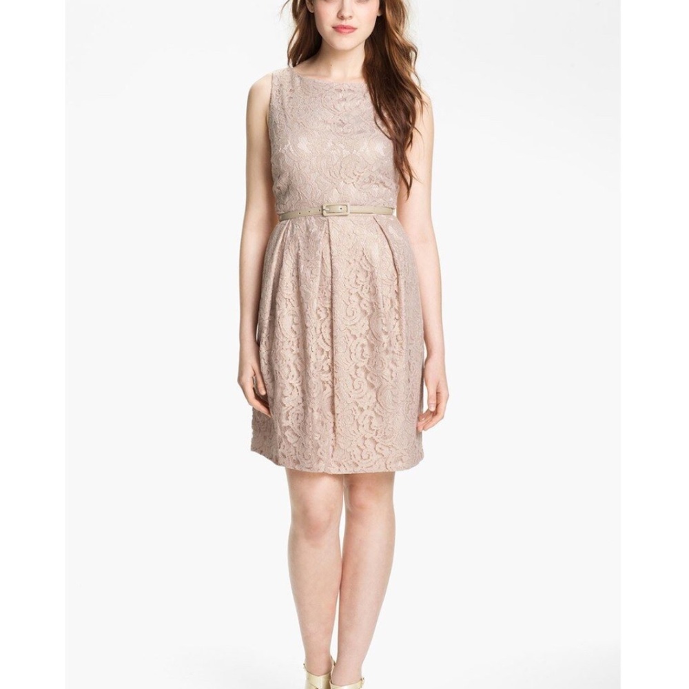 NWT! Eliza J‎ Belted Lace Tulip Dress Taupe [SZ 6 ]